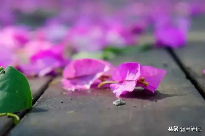 大事发生前有什么预兆,连续两把梳子断了什么征兆