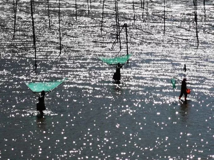 中国最美的海岸线霞浦,霞浦旅游之美