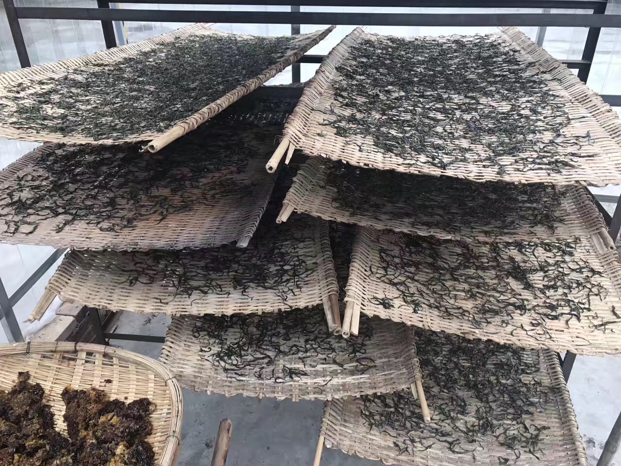 从业十年我所经历的火爆和低迷,茶行业真实揭露