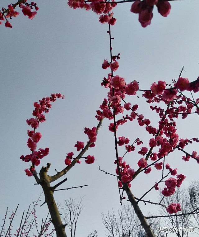 银行销户利息如何处理,银行账户销户怎么销