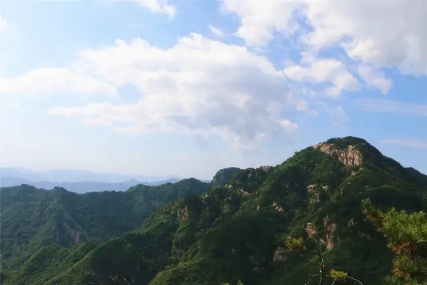 南阳市高性价比的景区,南阳农家乐旅游景点