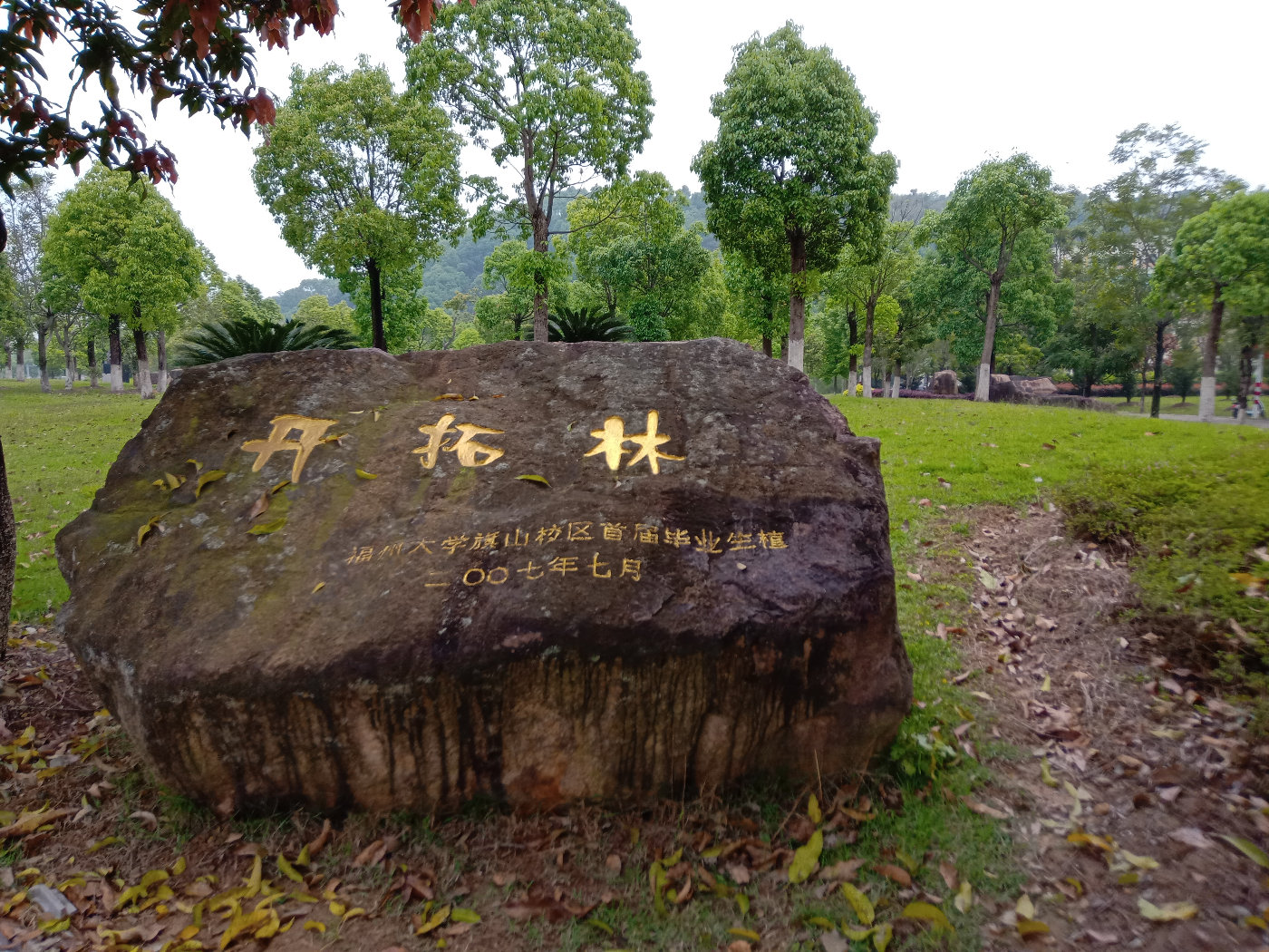 福州大学就像一座大公园，风景美到爆！最美的世界一流学科院校