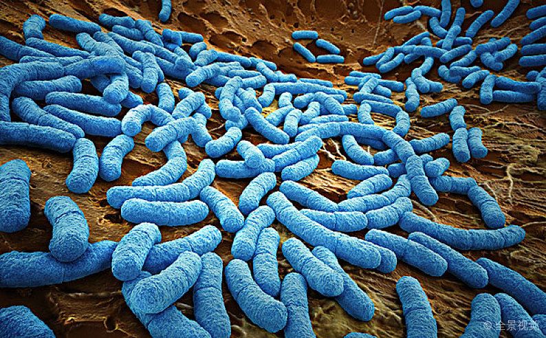 免疫治疗联合疗法,是敌是友重要吗