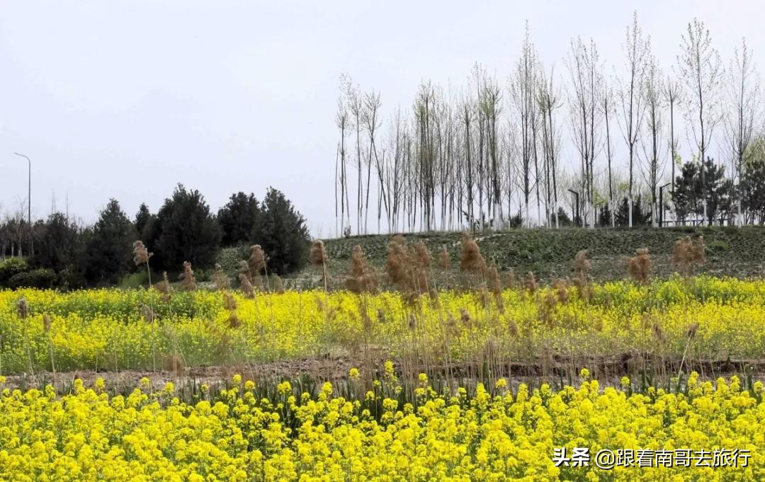 西安附近的公园免费景点推荐,西安公园免费旅游攻略最新