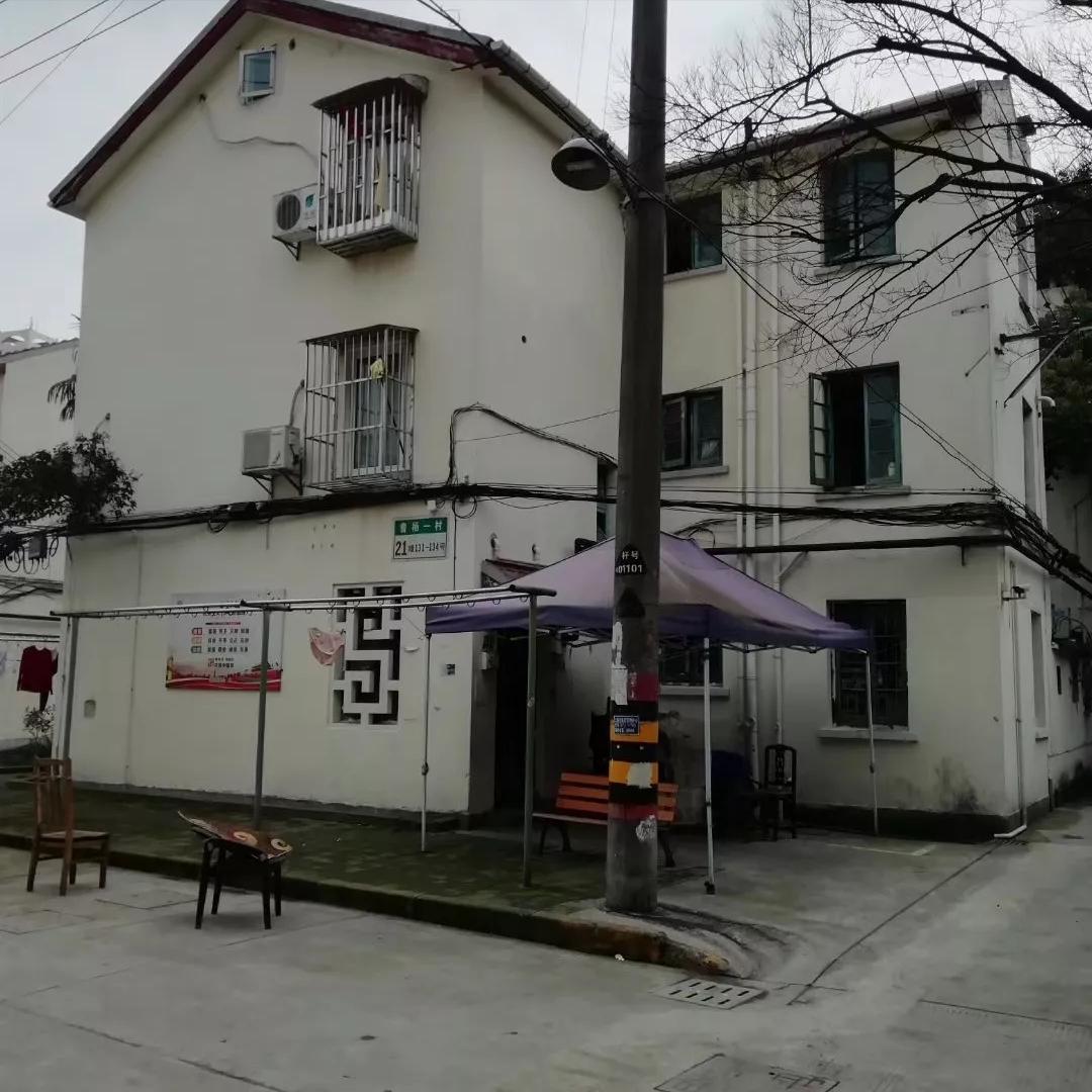 此劳模新村何以植物命名马路，以至美得像江南园林？