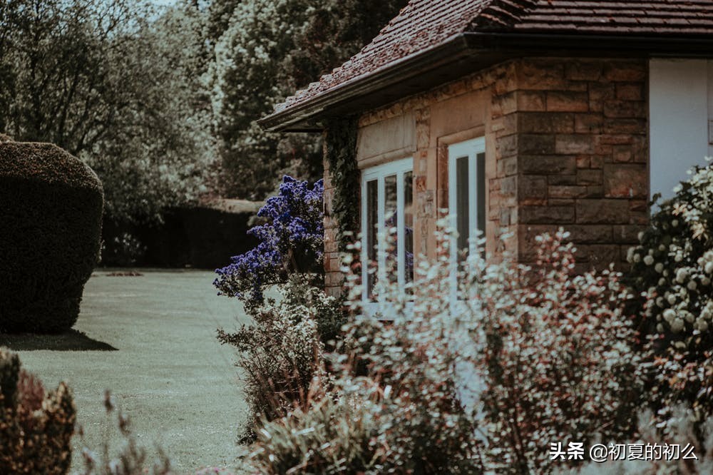 你别来我无恙的心酸句子,回复别来无恙的句子