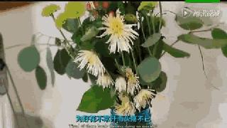 手机掉水里最快的方法,手机掉水里了黑屏了应该怎么处理