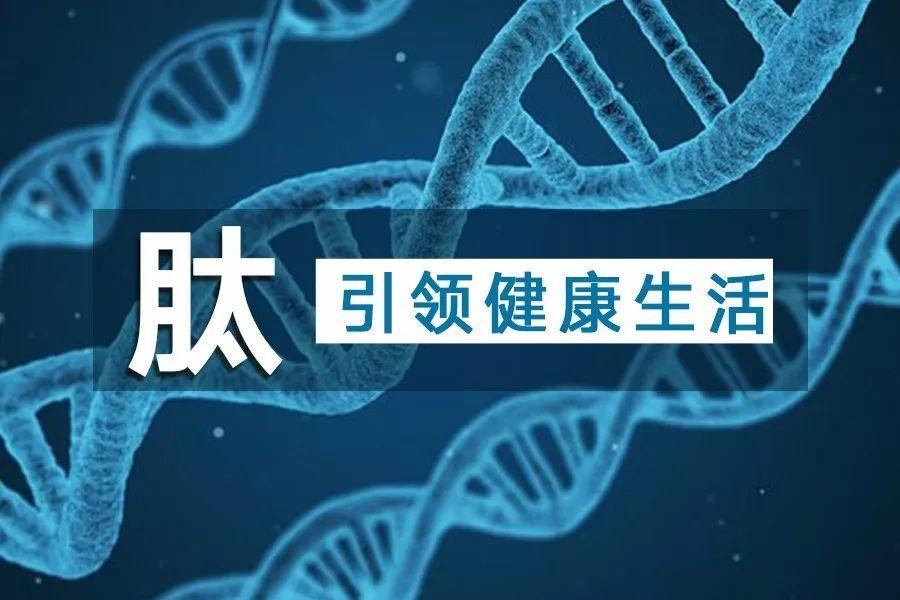 生物活性肽前沿技术,国内生物肽产业研究