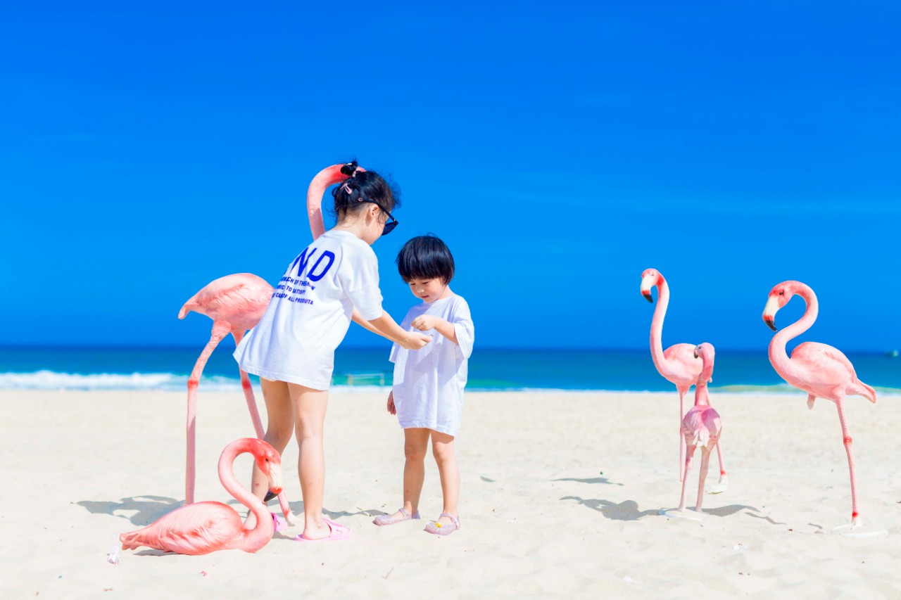 陵水香水湾阿尔卡迪亚酒店,海南香水湾都有什么酒店