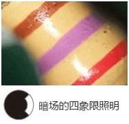 奥林巴斯正置显微镜光源,奥林巴斯3d显微镜功能