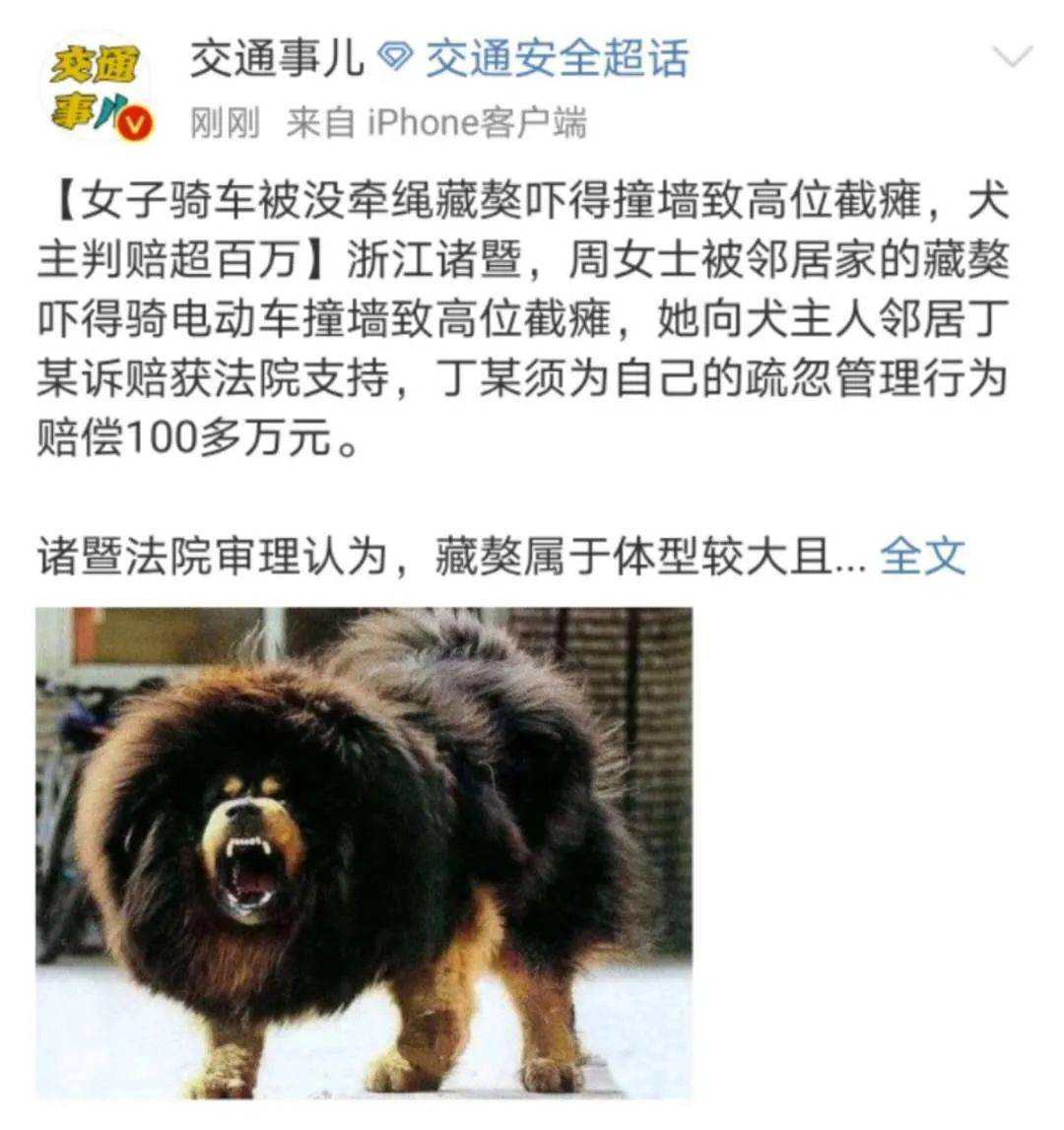 藏獒市场的兴起和崩塌,藏獒从身价不菲到沦为狗肉