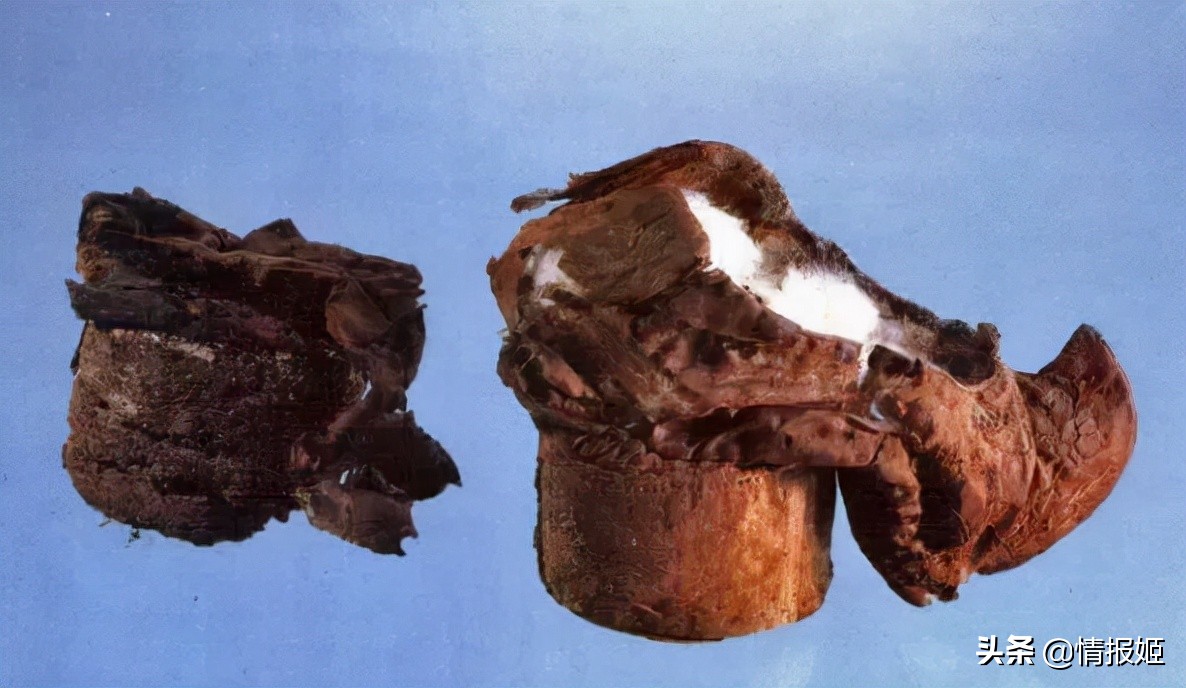 血源诅咒线上游戏,血源诅咒游戏全流程