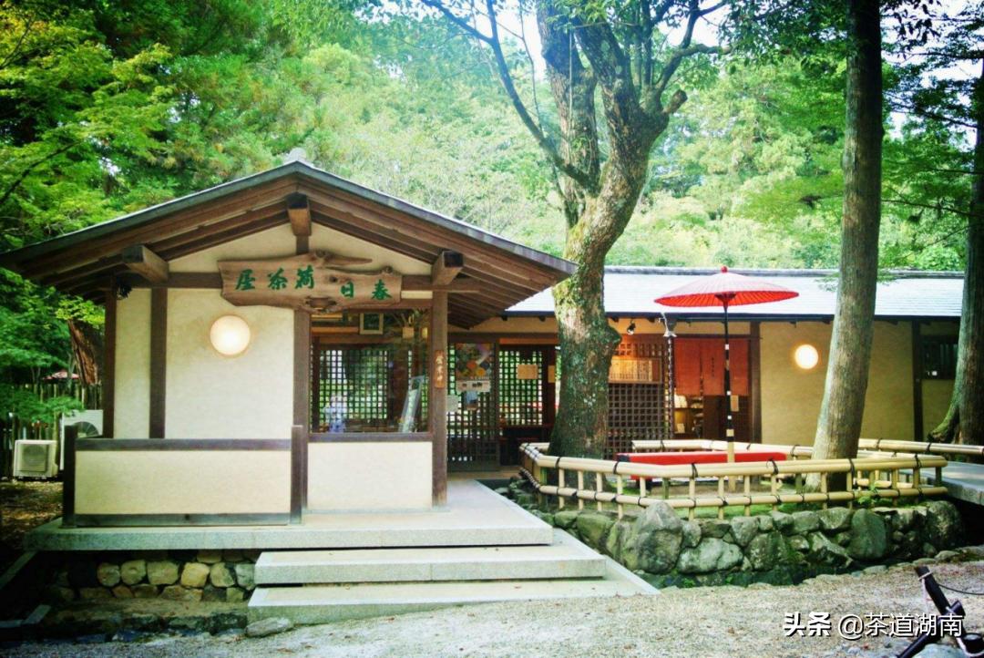 四月天一茶一粥,最美四月天奔赴一场春天的约会