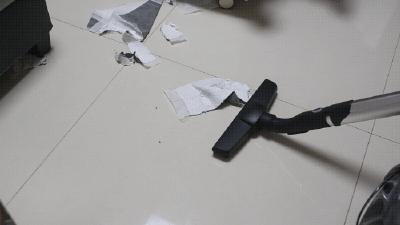 家狗身上痒有脱毛现象怎么办,狗到夏天脱毛特别严重