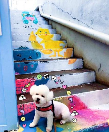 大势爱豆韩国综艺节目,养猪吴世勋