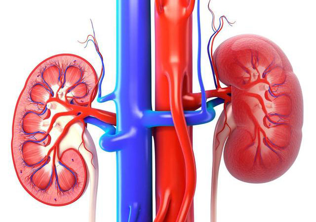 男子肾衰，中医用一经典药方祛湿化瘀修复损伤，5个习惯加速肾衰