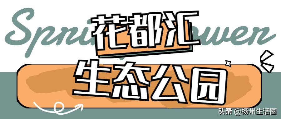 2元花盆批发清仓,2元花卉批发市场