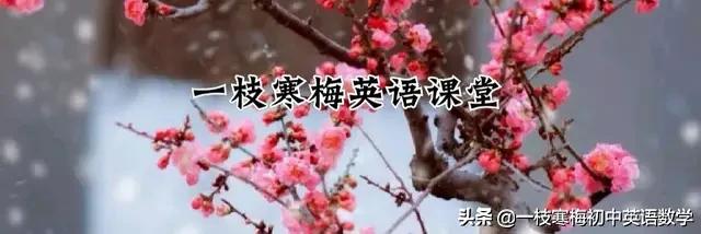 各种颜色用英语怎么说,英语中表示各种颜色的词