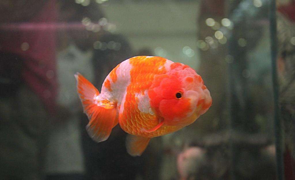 你还在给鱼缸加盐吗？我的弯路，你们就别再走了