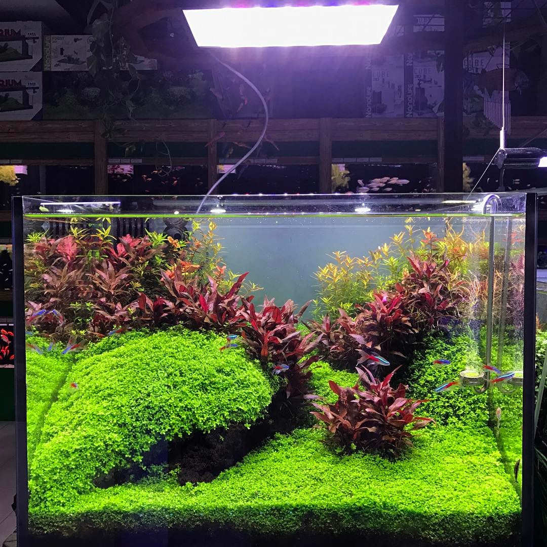 什么是老缸,老缸有裂纹怎样补救