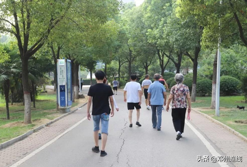 邓州公园晚上,邓州好玩的公园