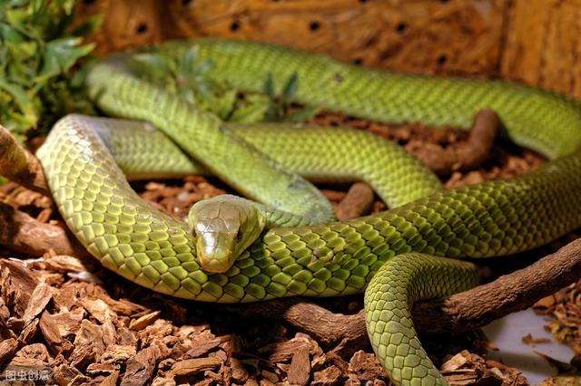 为什么会有奇怪的恐惧症,莫名害怕是恐惧症吗