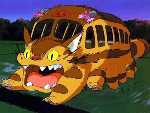 龙猫影评深度理解,龙猫的影评观后感