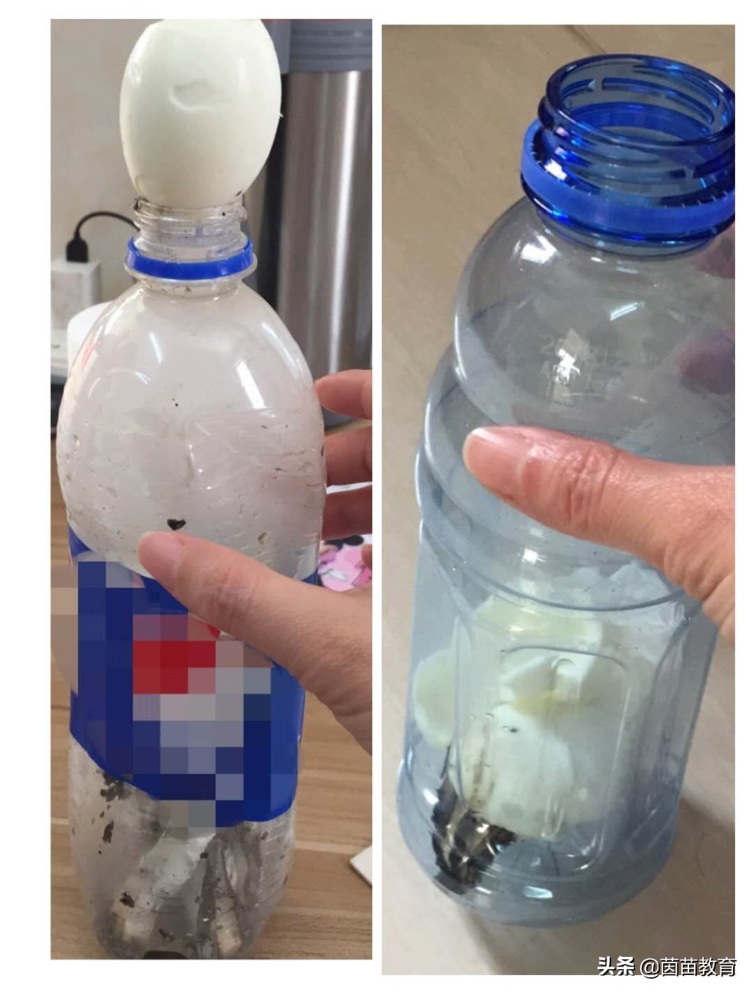 三年级作文盐水浮鸡蛋小实验300字,三年级下册第四单元小实验及范文