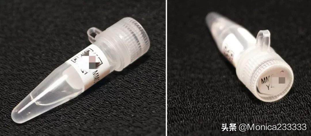 从基因开始更懂自己一点——秒秒测基因检测女士版