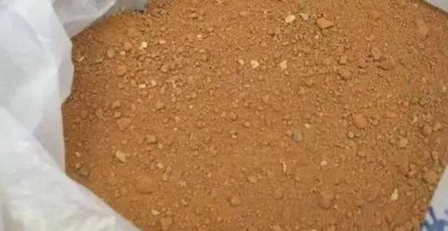 小苔藓微景观,小苔藓盆景怎么养殖