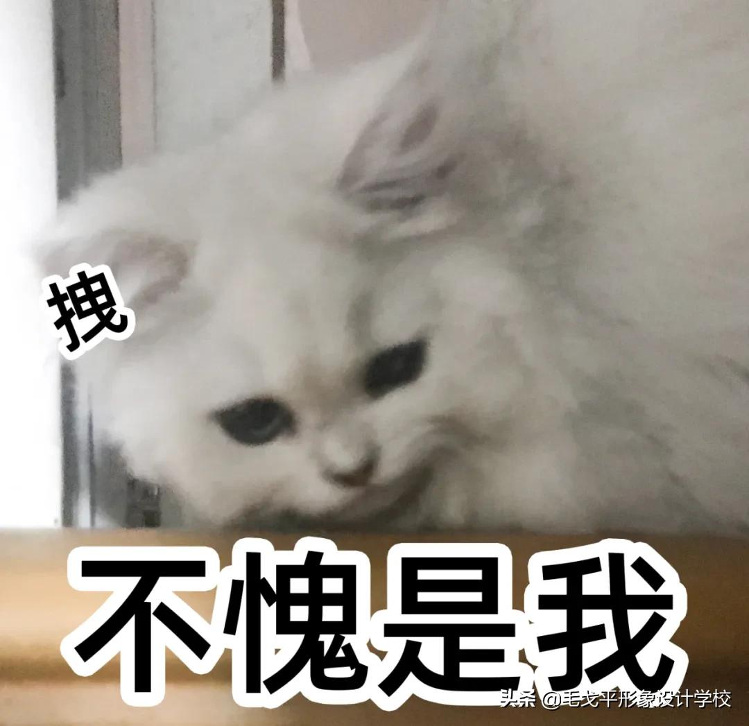 橘朵七色眼影盘33号眼影画法,眼影画法新手淡妆16色眼影盘