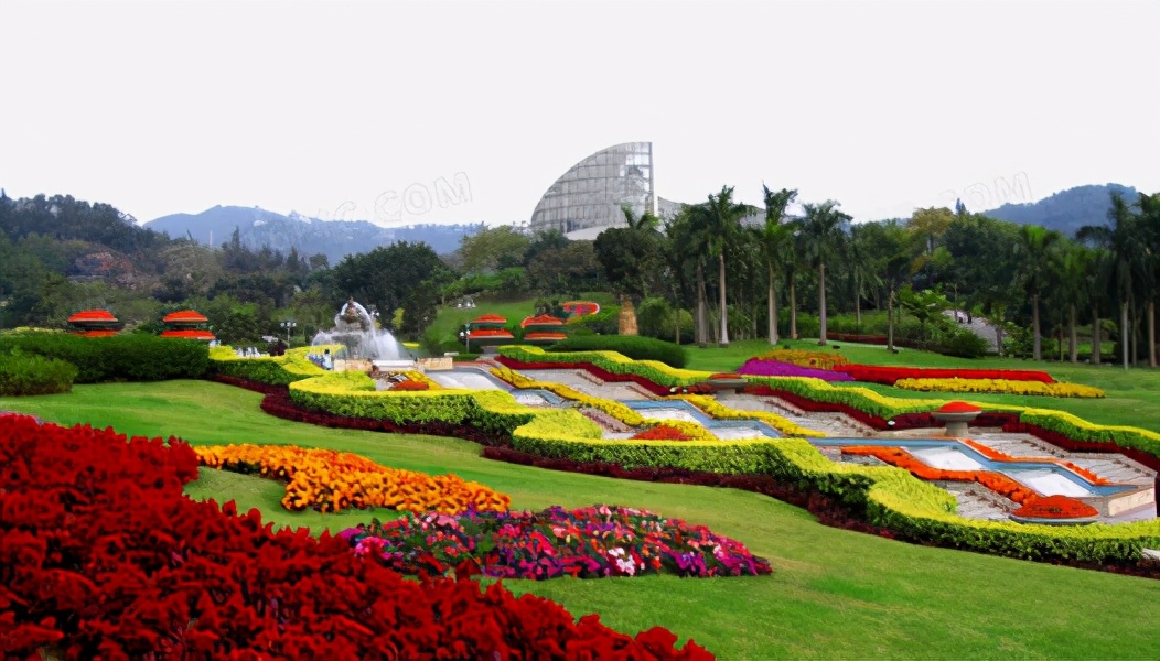 广州4a级景区旅游景点,广州5a旅游景区名单大全