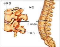 颈腰椎病的最佳锻炼方法,治疗腰椎病的方法
