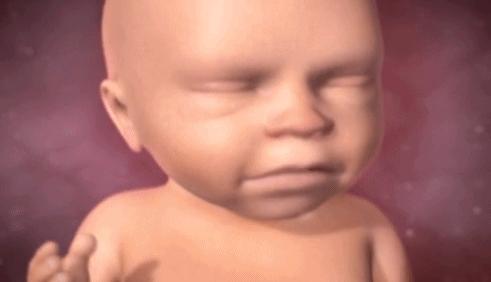 八个月孕妇胎儿有多大,8个半月孕妇什么样