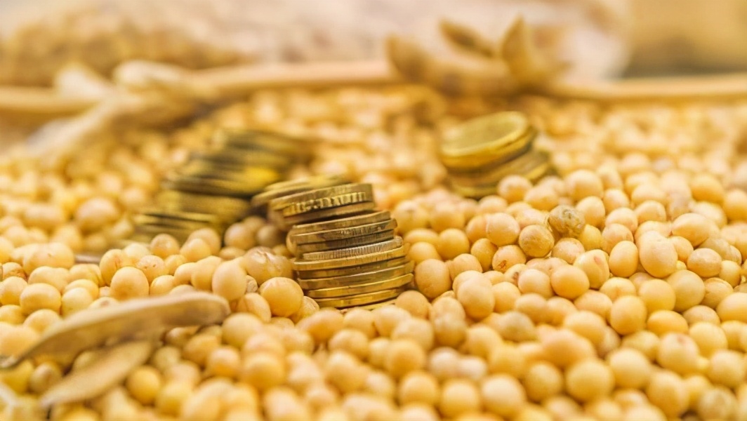 养猪大王2018,养猪大王致富经