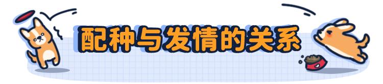狗狗第一次来姨妈很肿,狗狗第一次来姨妈拉肚子