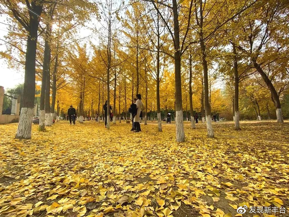 丰台赏秋景最好的地方,丰台赏秋好去处