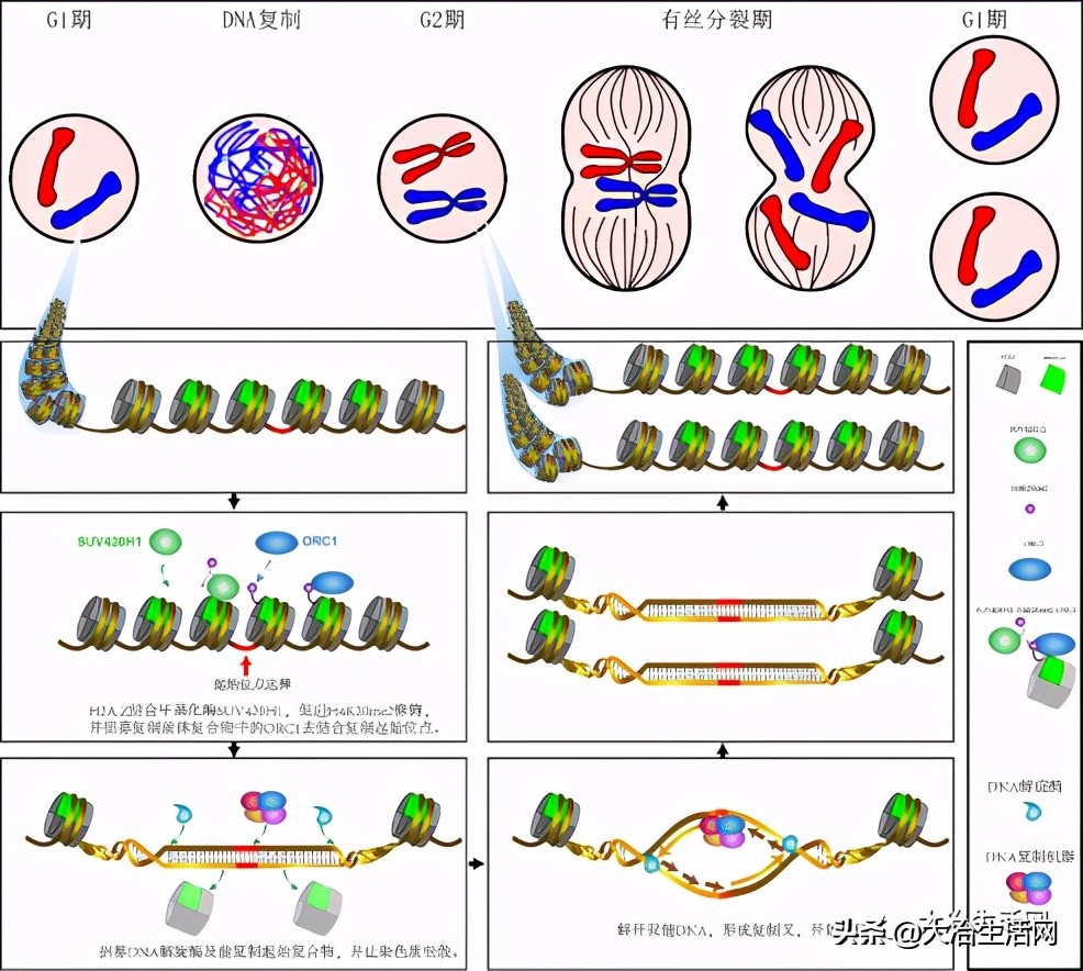 澶у喍浜虹殑楠勫偛,婀栧寳浜虹殑楠勫偛涓轰綘鐐硅禐