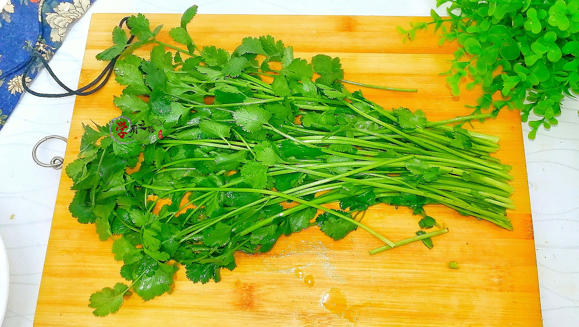 烤孜然羊肉羊肉怎么去膻味,孜然羊肉口感太硬怎么补救