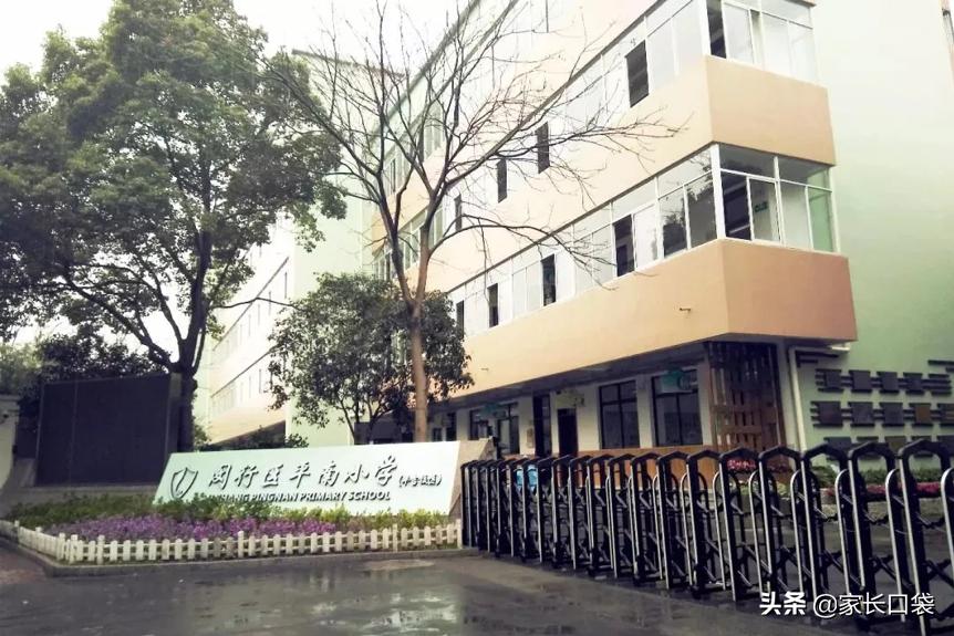 上海十大鸡血学校,上海最好的鸡血小学排名