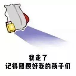 苍蝇爬到吃的食物上会怎样,苍蝇会爬到哪些食物上