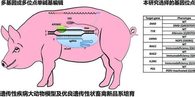 俞敏洪卖农产品一年收入,俞敏洪创业卖农产品的初心