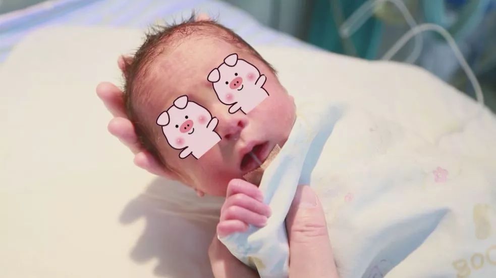 子宫移植手术成功案例都移植什么,目前国内能做子宫移植手术吗