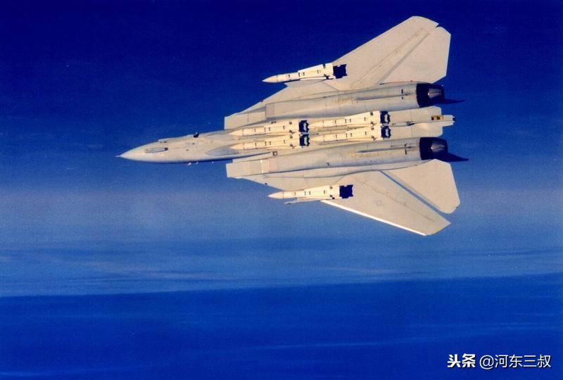 中国版f14雄猫战斗机,f-14雄猫战斗机被击落
