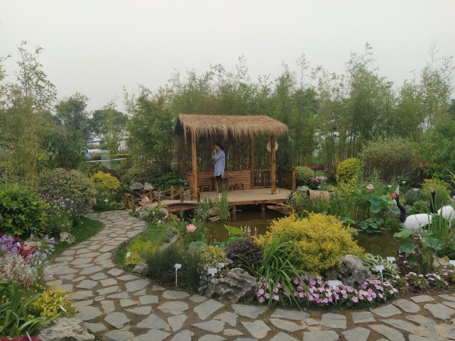 郑州值得打卡的免费公园,郑州网红打卡圣地蝶湖森林公园