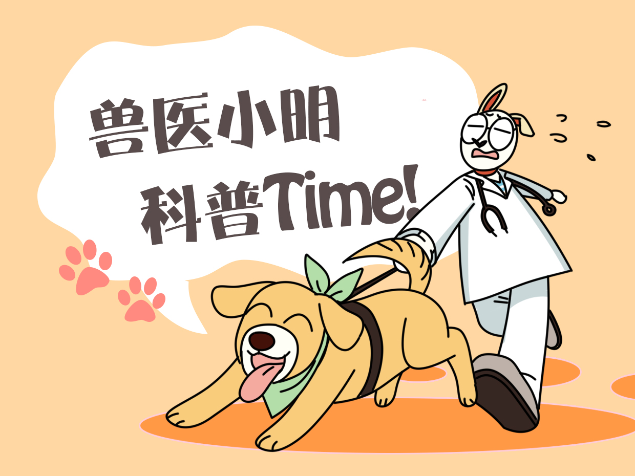 男子把哈士奇关车里,二哈被主人带回老家咬死