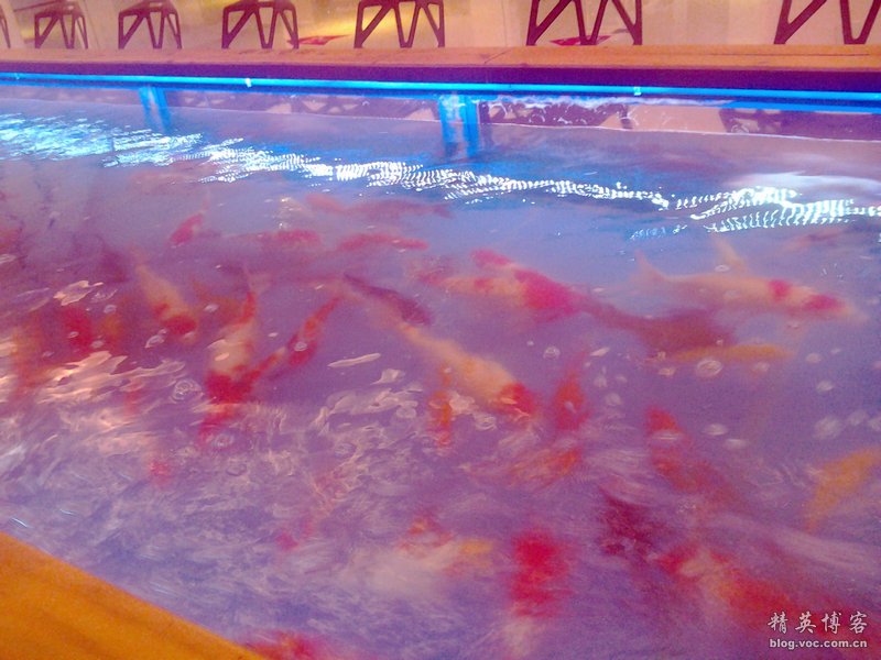 鏍床缇庣殑鏃朵唬骞垮満,鏍床缇庣殑鏃朵唬骞垮満鍋滆溅鏀惰垂