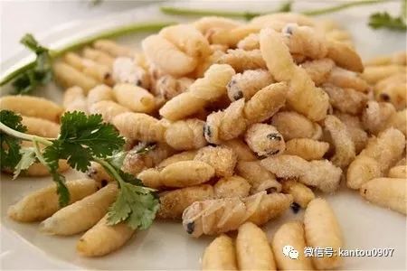 刚收的蜜蜂防逃方法,刚收回来的蜜蜂如何预防飞逃