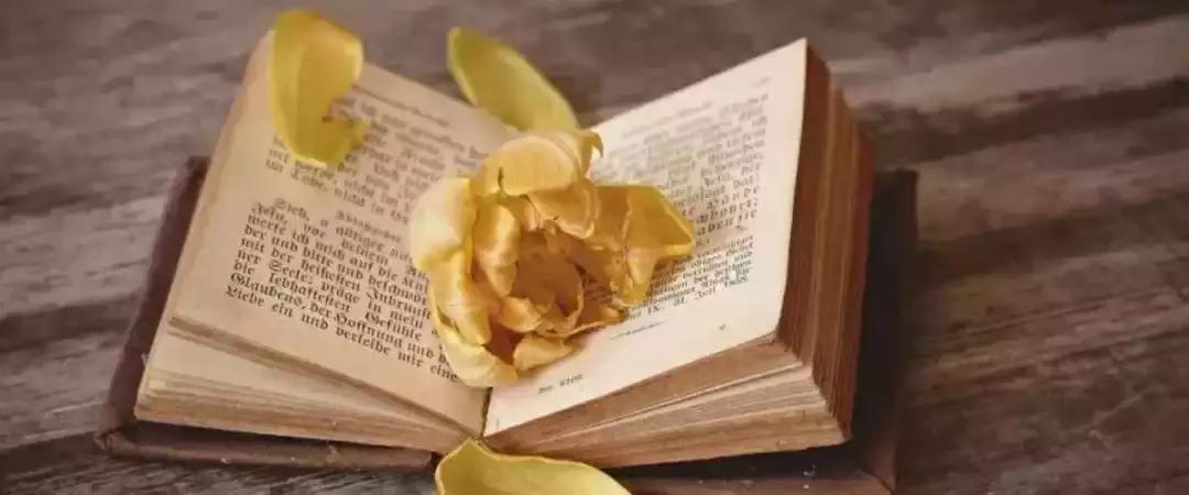 什么是财商思维,什么是财商通俗