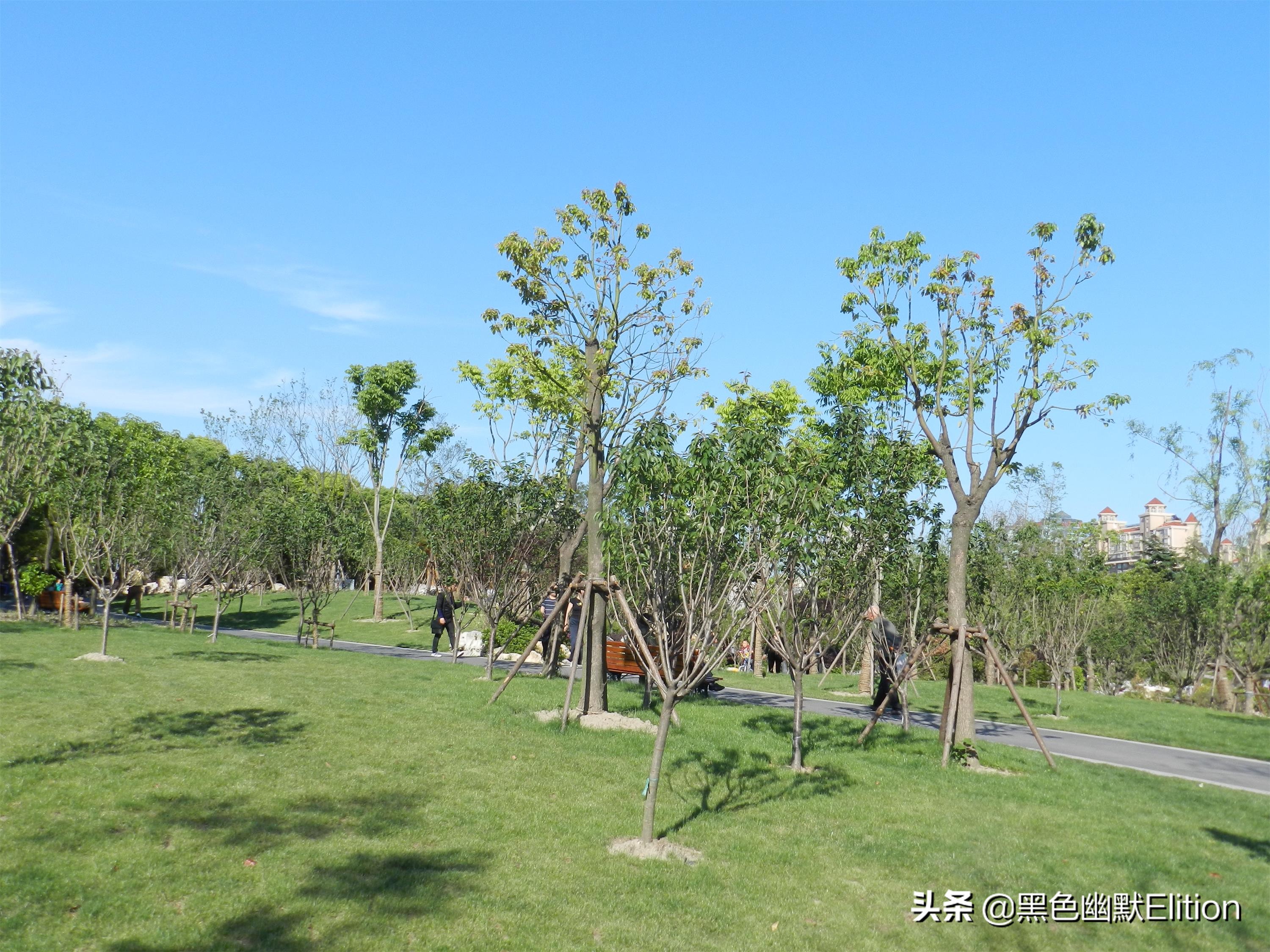 绿化技巧视频,绿化施工安全措施